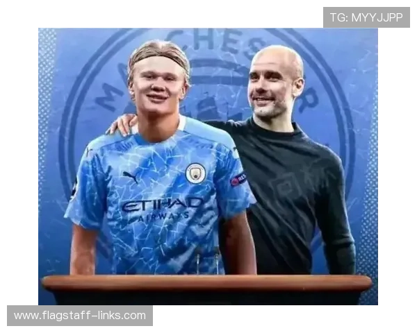 琼阿梅尼转会费溢价争议：数据与市场行情解析